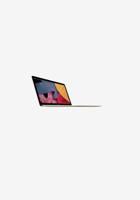 YApple MacBook 12